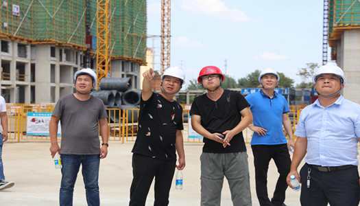 乐动平台(中国)官方网站注册登录董事会巡检圆满完成